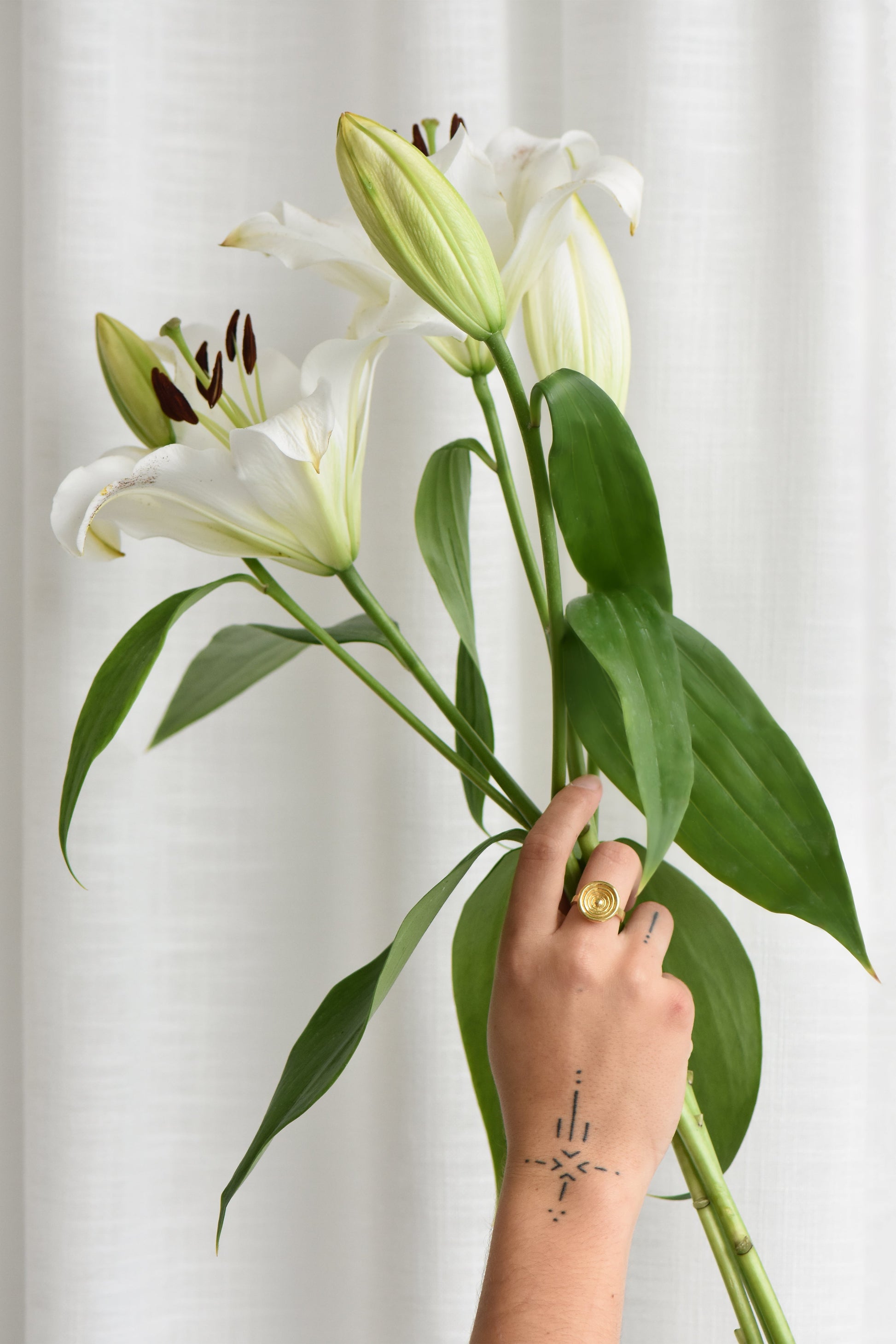 EL DOMO RING charlotte-penman-2