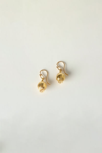 POD EARRINGS charlotte-penman-2